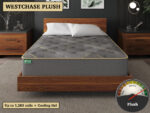 Westchase Plush Gel Hybrid Mattress