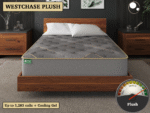 Westchase Plush Gel Hybrid Mattress