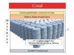 Coral